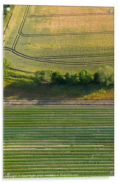 English Farm Aerial Landscape Acrylic by David Pyatt