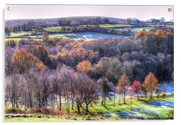 Dartmoor Hills Frosty Morning  Acrylic by David Pyatt