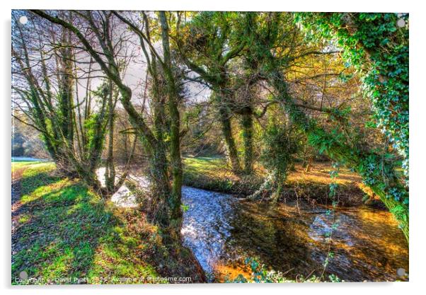 Ambling River Bovey Dartmoor Acrylic by David Pyatt