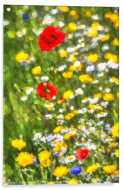 Meadows Of Summer Art Acrylic by David Pyatt