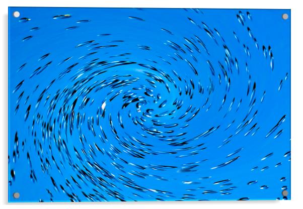 Vortex in Blue Acrylic by David Pyatt