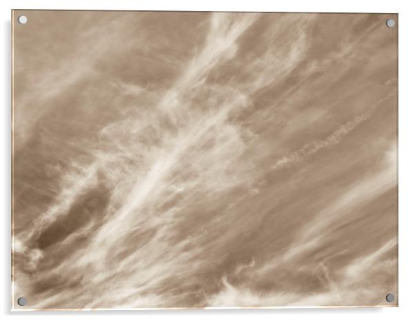 Sepia sky Acrylic by David Pyatt