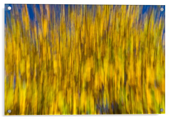 Abstract of Autumn Acrylic by David Pyatt