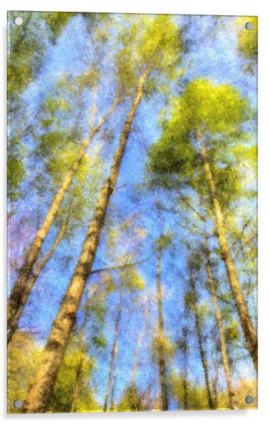 A Peaceful Forest Acrylic by David Pyatt