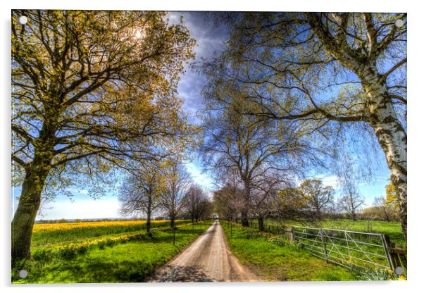 The Summer Farm Track Acrylic by David Pyatt