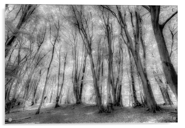 The Ghostly Forest Acrylic by David Pyatt