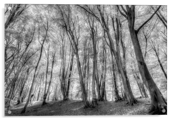 The Ghost Forest Acrylic by David Pyatt