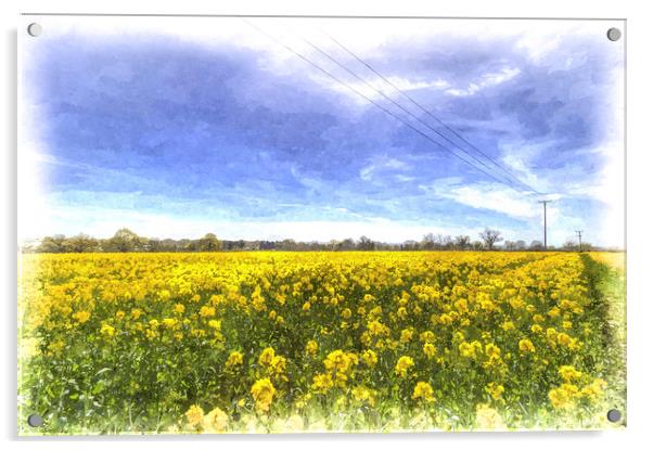 Yellow Fields Of Summer Art Acrylic by David Pyatt