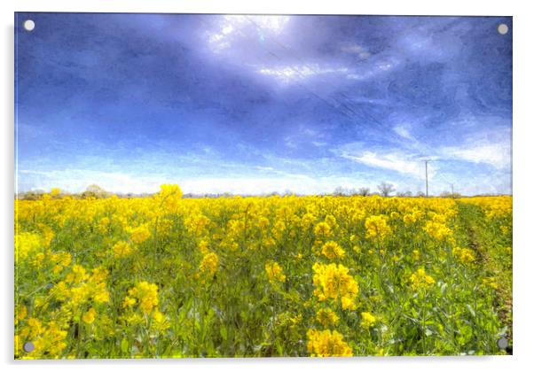 Yellow Fields Of Summer Art Acrylic by David Pyatt