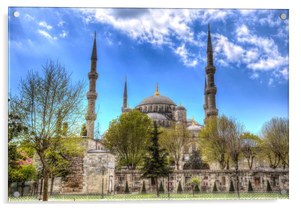 The Blue Mosque Istanbul  Acrylic by David Pyatt