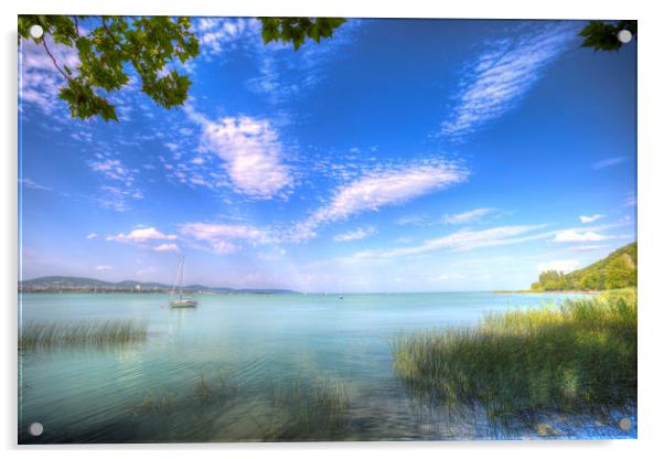 Lake Balaton Hungary Summer Acrylic by David Pyatt