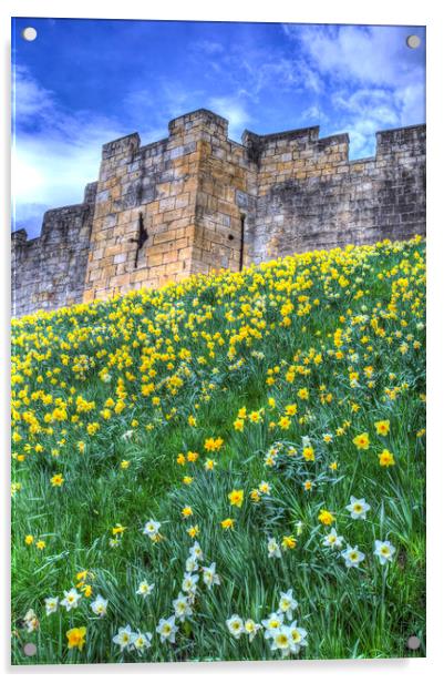 York City Walls Acrylic by David Pyatt