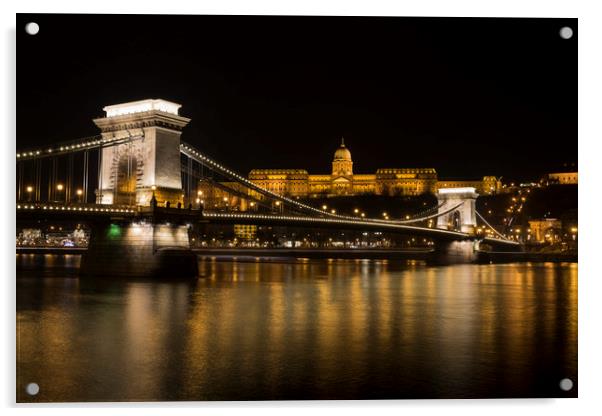 Budapest At Night  Acrylic by David Pyatt