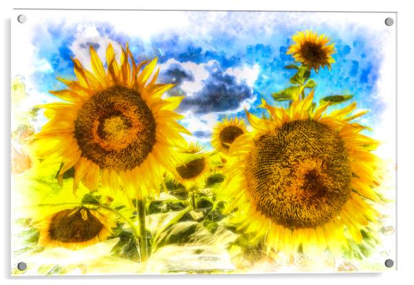 Sunflowers Art Acrylic by David Pyatt
