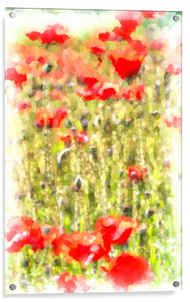 Poppy Meadow Monet Acrylic by David Pyatt
