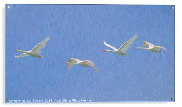 Flying Swans Art Panorama  Acrylic by David Pyatt
