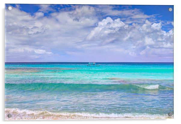 Barbados Summer Day Acrylic by David Pyatt