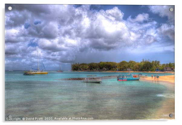 Barbados Summer Beach Acrylic by David Pyatt