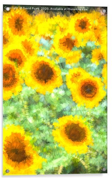 Painterly Sunflower Field Acrylic by David Pyatt