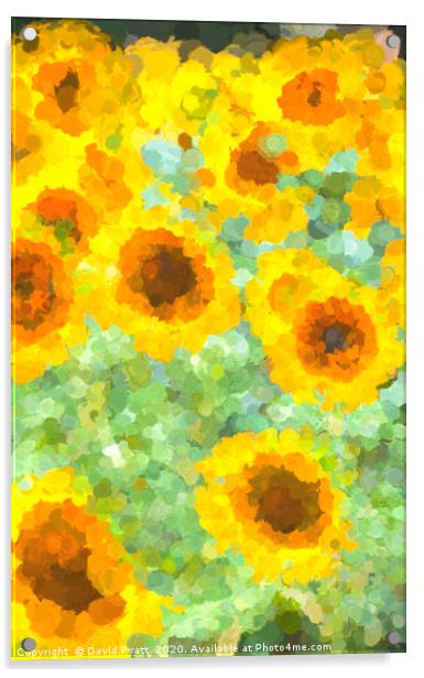 Sunflowers Monet Style Acrylic by David Pyatt