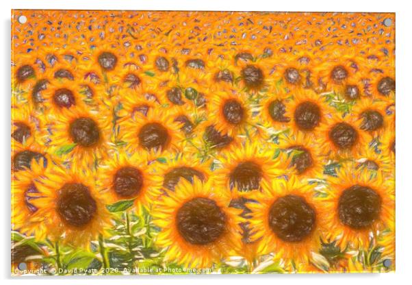 Sunflower Field Of Dreams  Acrylic by David Pyatt