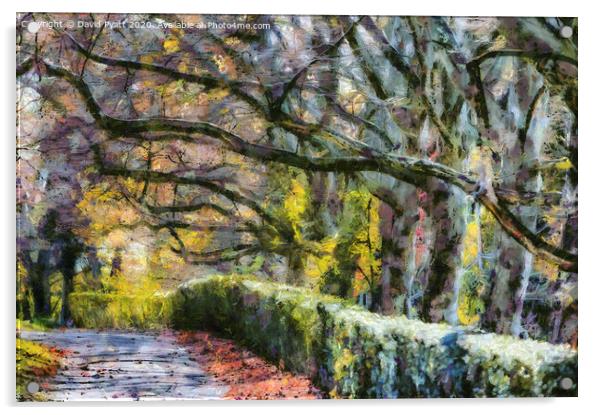Sleepy Hollow In Autumn Monet Acrylic by David Pyatt