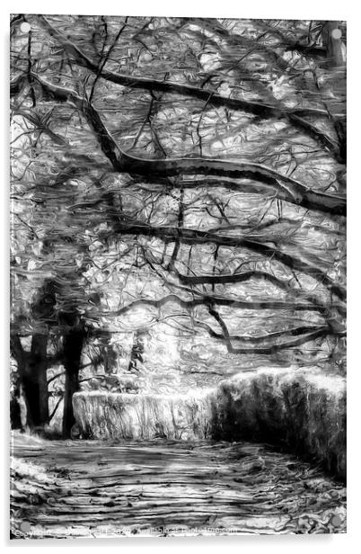 The Path Of Ghosts  Acrylic by David Pyatt