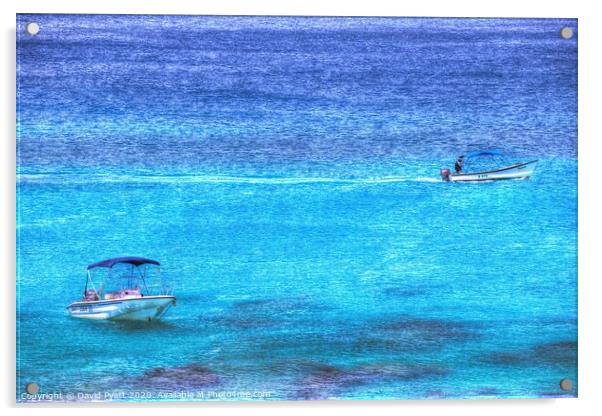 Barbados Holiday  Acrylic by David Pyatt