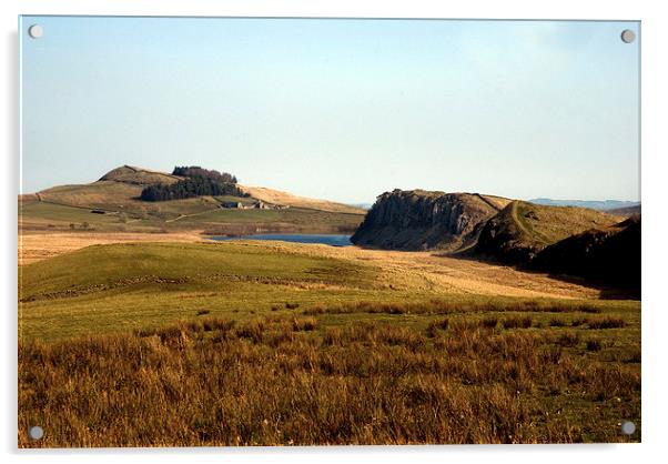 Steel Rigg Hadrians Wall Acrylic by eric carpenter