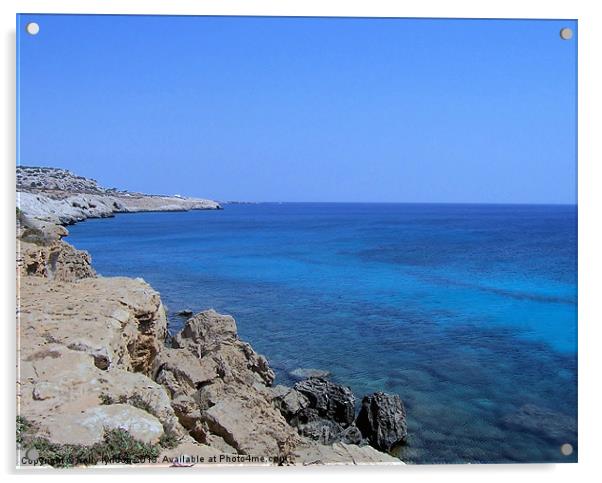 Cyprus Blue Acrylic by holly lyndon
