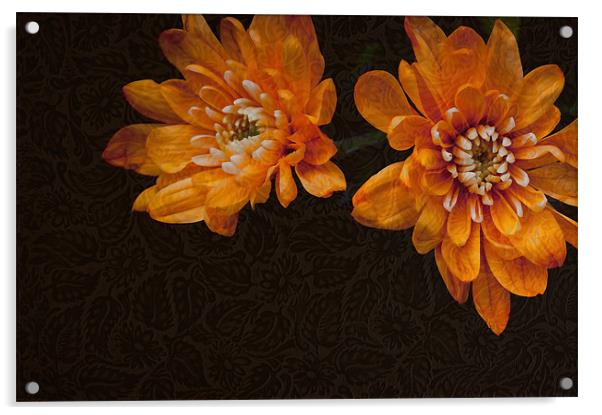 Amber Acrylic by Natalie Durell