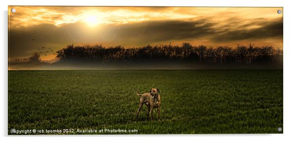 THE EARLY MORNING RIDGEBACK Acrylic by Rob Toombs