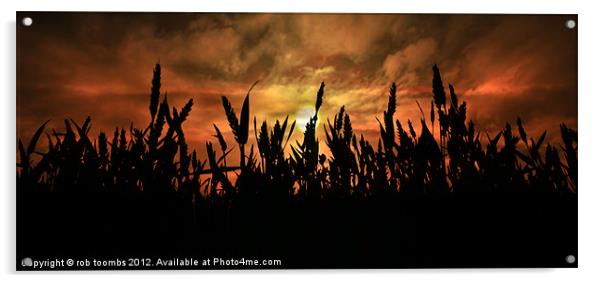 SUNSET FIELDS Acrylic by Rob Toombs