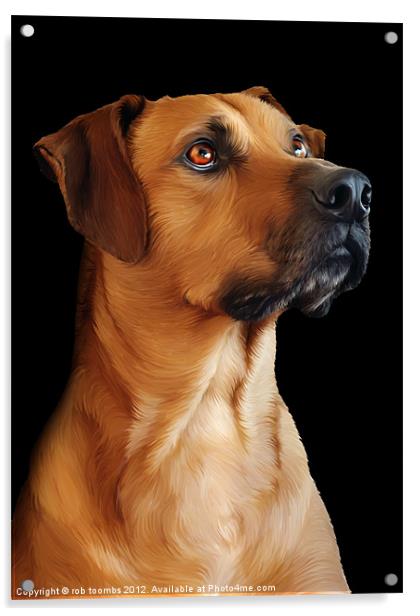 PROUD TO BE A RIDGEBACK Acrylic by Rob Toombs