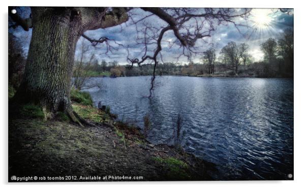 MOTE PARK LAKE Acrylic by Rob Toombs