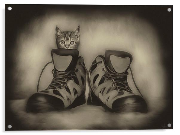 PUSS & BOOTS Acrylic by Rob Toombs