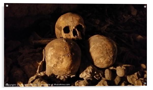Skulls, Paris Catacombs Acrylic by Lee Osborne