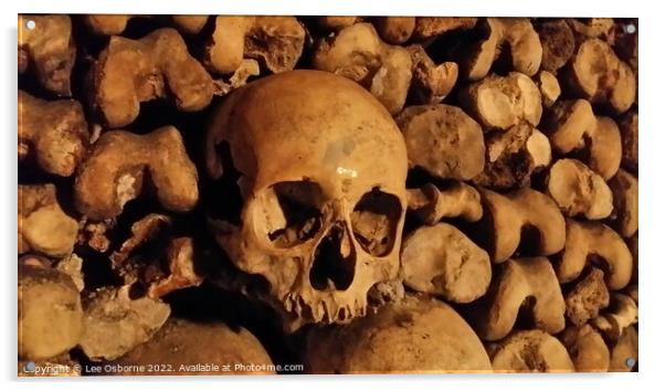 Skull and bones, Paris Catacombs Acrylic by Lee Osborne