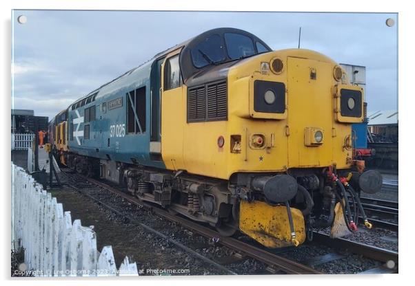 British Rail Class 37, Bo'ness - Inverness TMD Acrylic by Lee Osborne