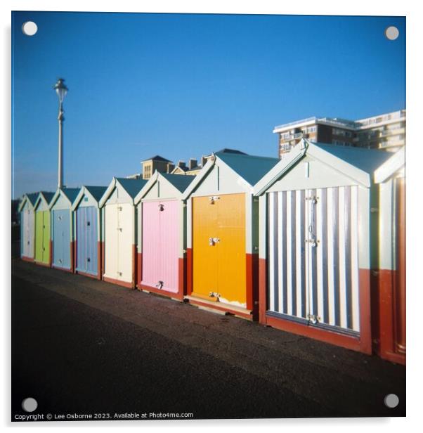Hove, Actually - Beach Huts Acrylic by Lee Osborne