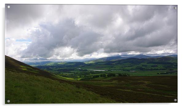 Tinto Hill, Scotland Acrylic by Lee Osborne