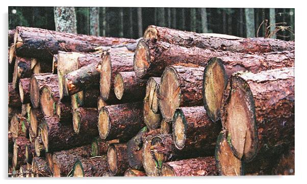 Logs Acrylic by Lee Osborne