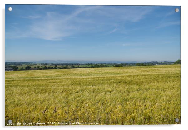 Wheat fields Acrylic by Lee Osborne