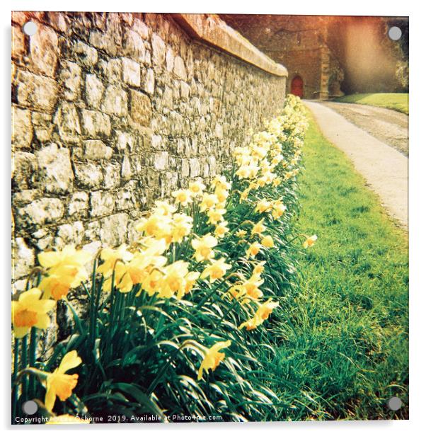 Spring Daffodils #1 Acrylic by Lee Osborne