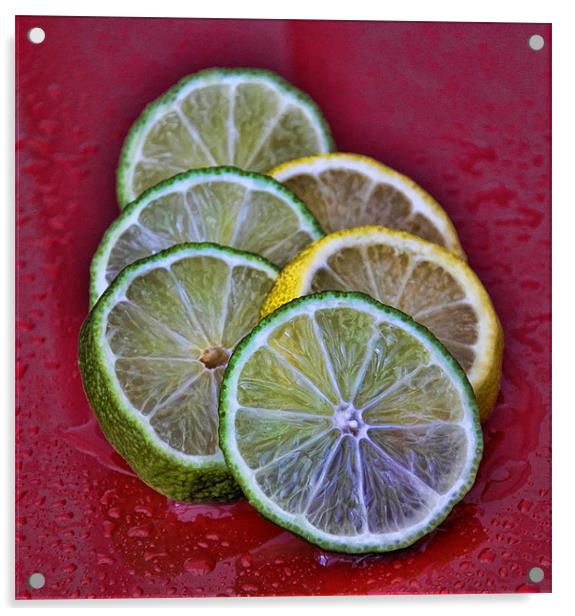 citrus Acrylic by sue davies