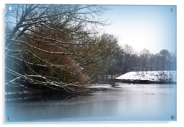 icy lake Acrylic by sue davies