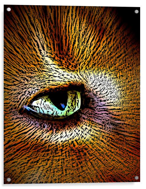 cats eye Acrylic by sue davies