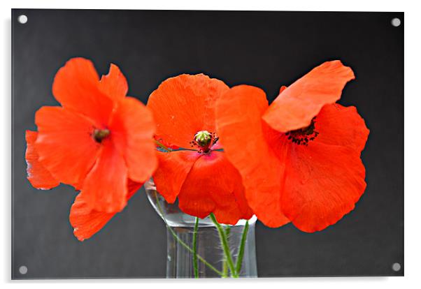 poppys Acrylic by sue davies