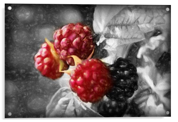 luscious raspberries Acrylic by sue davies