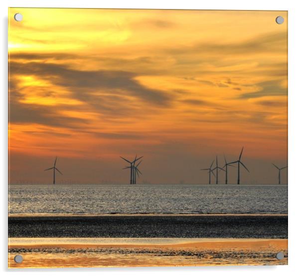 windfarm Acrylic by sue davies